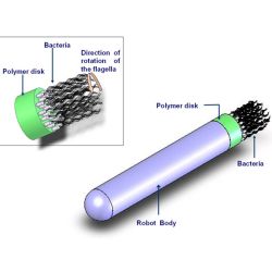 CMU nanobot with flagella