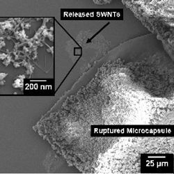 ruptured microcapsule and nanotubes