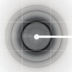 x-ray diffraction image