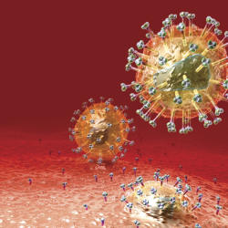 the HIV virus