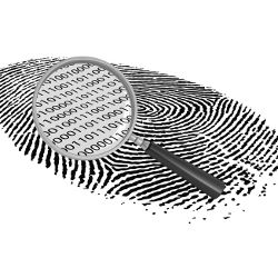 binary code in magnified fingerprint
