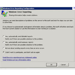 Windows Error Reporting window