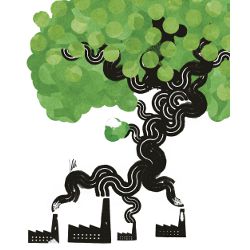 An Information Strategy for Environmental Sustainability, illustration