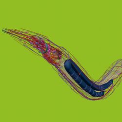 A digital representation of the soil-dwelling nematode C. elegans.
