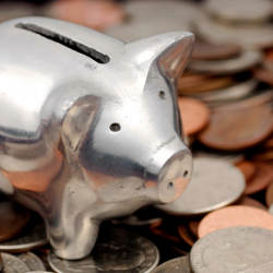 piggy bank and coins