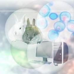 Three experimental ways to assess the biological activity of a molecule: 'in vivo' experiments, also known as animal testing; 'in vitro' experiments, or using tissue culture cells, and 'in silico' experiments, or computer simulations.