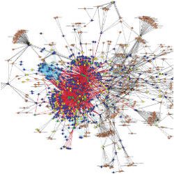 model of gene regulation network in mammalian cells