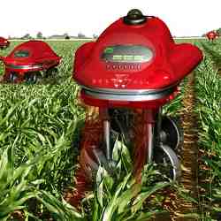 Artist's conception of how robotic drones could contribute to precision farming.