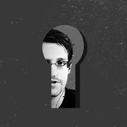 Privacy Behaviors After Snowden, illustration