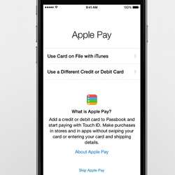 Home screen of the Apple Pay app.