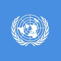 The UN flag.