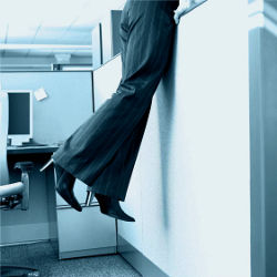 Storming the Cubicle, illustrative photo