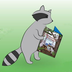 raccoon reading a manual, illustration