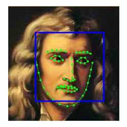 Identifying the "landmarks" of a face.