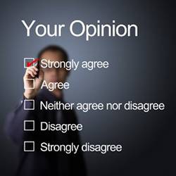 Choices frequently offered in opinion polls.