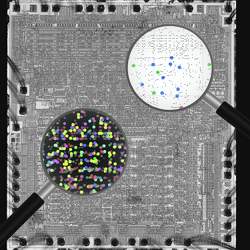 Examining every transistor in a classical microprocessor using the same techniques used to understand the brain fell short of hoped understanding.