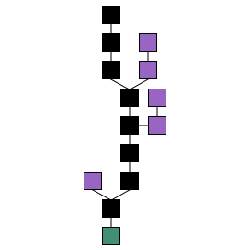 A blockchain formation. The main chain (black) consists of the longest series of blocks from the genesis block (green) to the current block. Orphan blocks (purple) exist outside of the main chain.