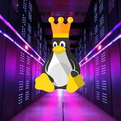 The Top500 supercomputers in the world run Linux.