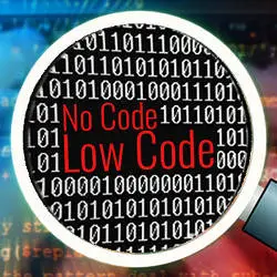 Ideal candidates for low-code development work are "people who are technically savvy who chose not to pursue an IT or developer career.''