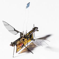 The RoboFly is powered by a laser.