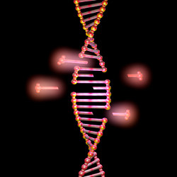 gene editing, illustration