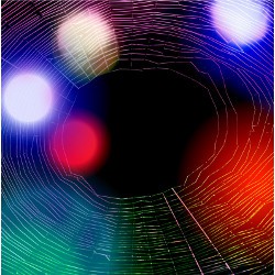 spider web and colored lights