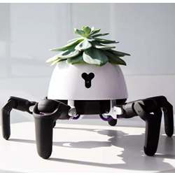 Vincross' plant-robot hybrid.