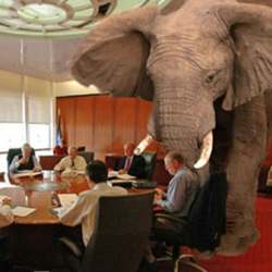 An elephant in the board room.