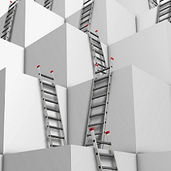 levels of ladders
