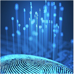 fingerprint and binary digits