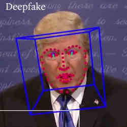 Detecting a deepfake video of U.S. president Trump.