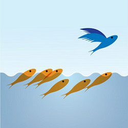 one flying fish and six fish in water, illustration