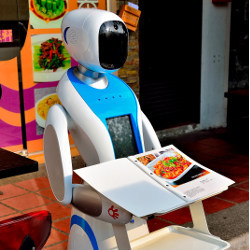 Robodizz robot with menu
