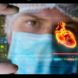 medical person holding transparency with image of human heart, illustration