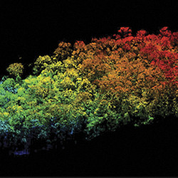 LIDAR point cloud of Amazon rainforest segment