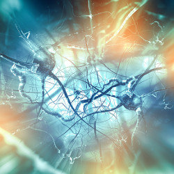 neurons and lighted background, illustration