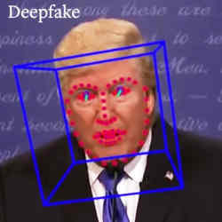 A video of former U.S. president Donald Trump that was determined to be a deepfake.