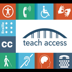 disability and system icons, illustration