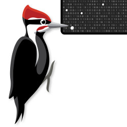 woodpecker pecking at a block of binary code, illustration