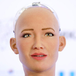 head and face of a humanoid robot