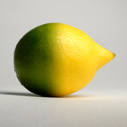 half-lime, half-lemon fruit