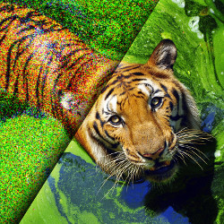 image of tiger, left half pixelated