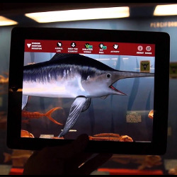 demonstration of the Skin & Bones app on a tablet computer