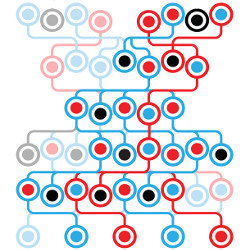 connected dot pattern