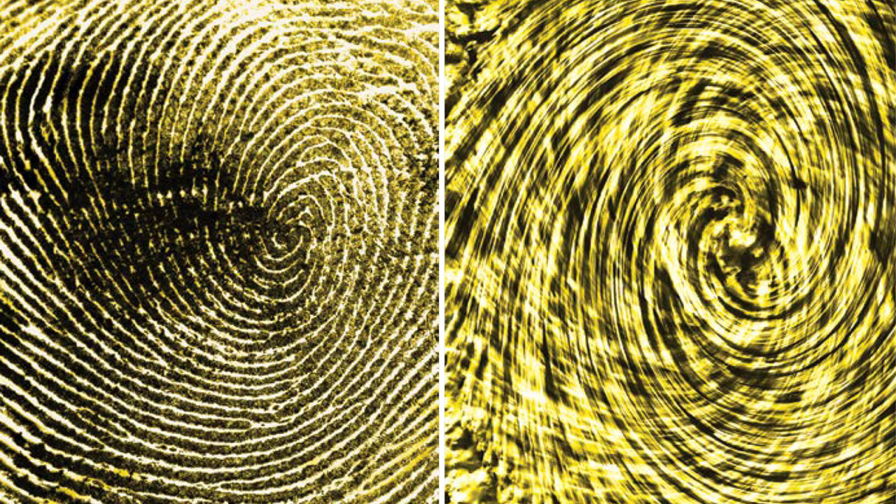 side-by-side fingerprint scans, illustration
