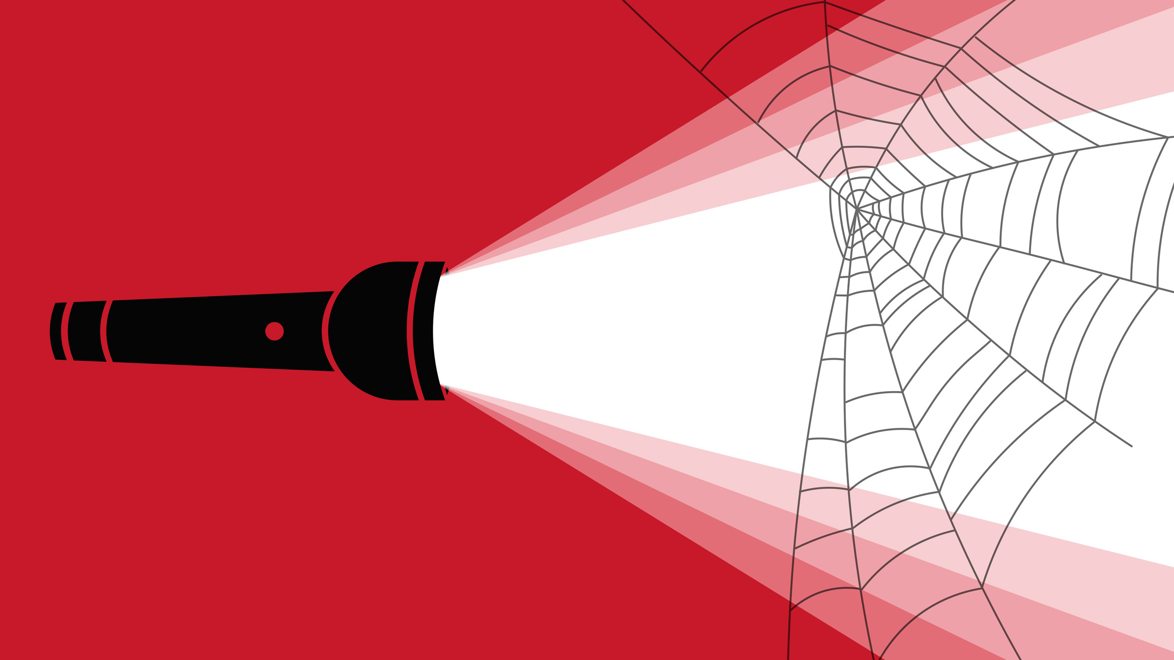 flashlight shining on a spiderweb, illustration