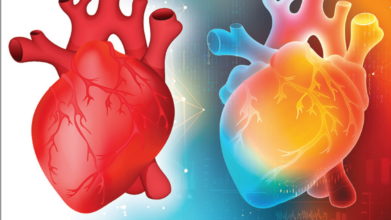 side-by-side images of a human heart, illustration