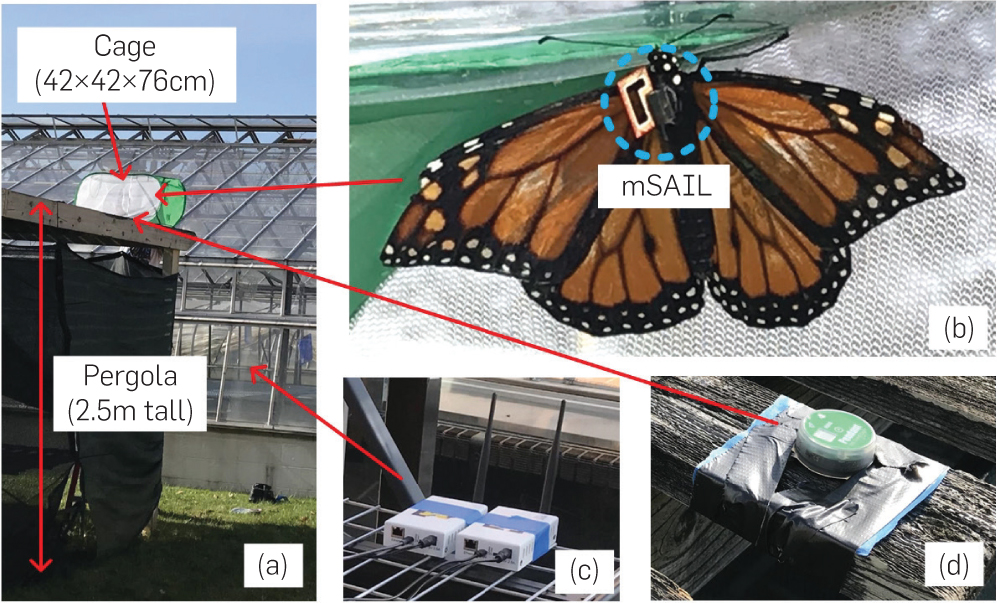 Testing setup for the outdoor botanical garden test. (a) Overview; (b) mSAIL on monarch; (c) gateway; (d) centimeter-scale commercial sensor.