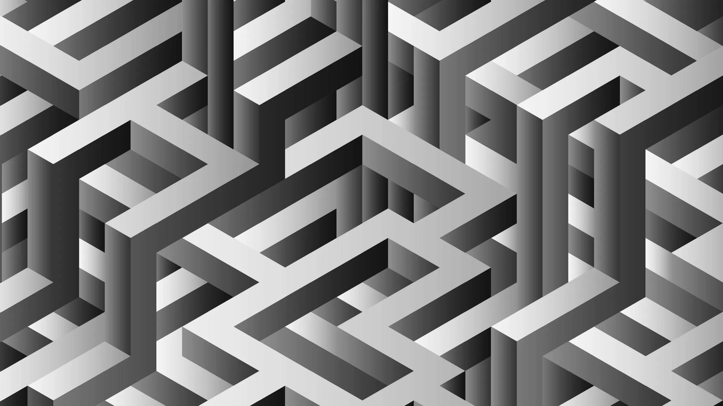 black and white labyrinthine structure, illustration