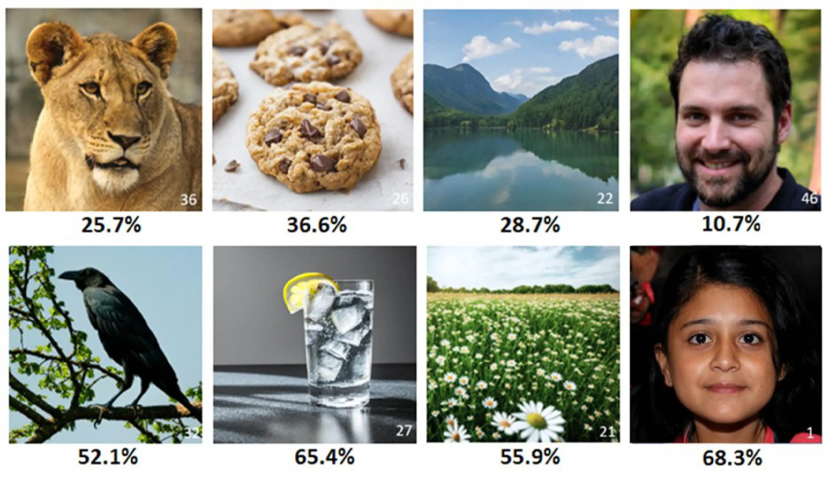 Top row: synthetic images from each category most often misclassified as authentic. Bottom row: synthetic images most often correctly identified as synthetic. Beneath each image is its corresponding mean accuracy rate.